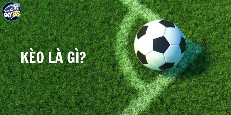 Phiên bản Helo88 mới phát hành có tốt như mong đợi không? - Helo88
