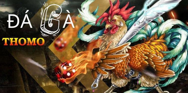 Tính xác suất trúng xổ số 365Vn - 365Vn