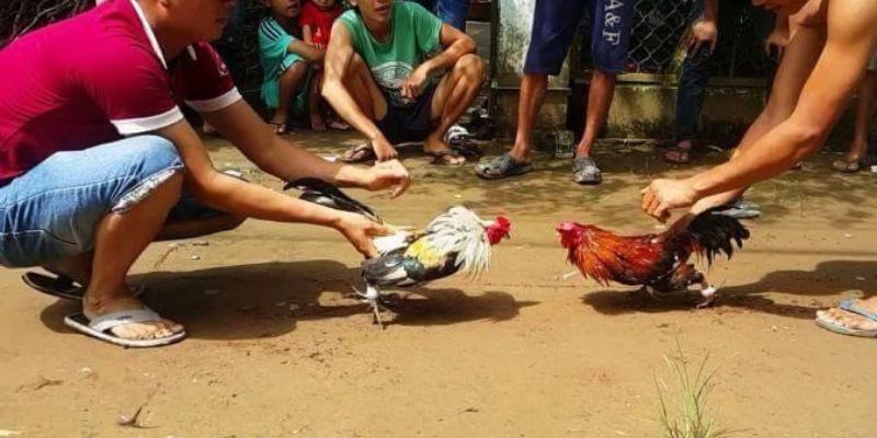 Quy trình nạp/rút tiền của Net88 rất đơn giản - Net88