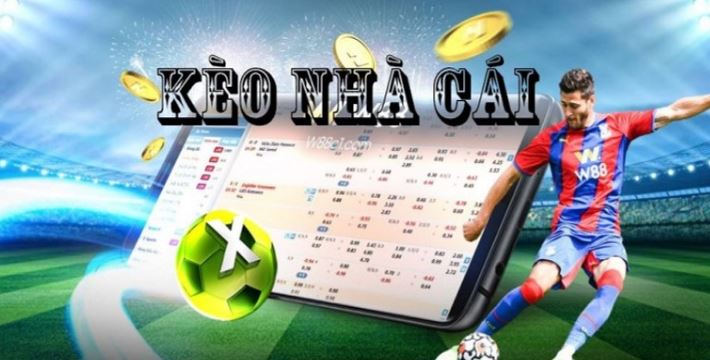 Các nhà cung cấp dịch vụ trực tuyến đạt chuẩn Loto288 được đánh giá cao về độ tin cậy - Loto288
