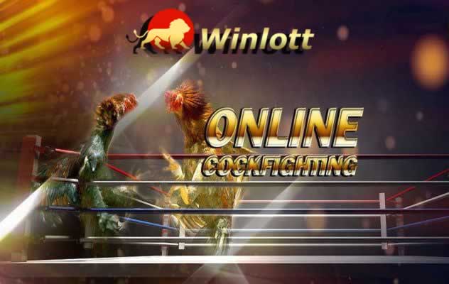 Các vấn đề thường gặp khi chơi game cấp độ Vi68 - Vi68