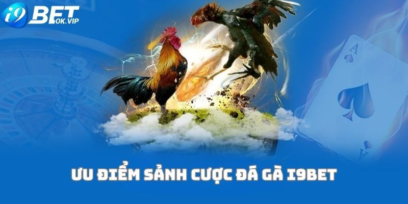 Cổng game Aog777 King và thư viện game của nó đã tạo nên một thương hiệu - Aog777