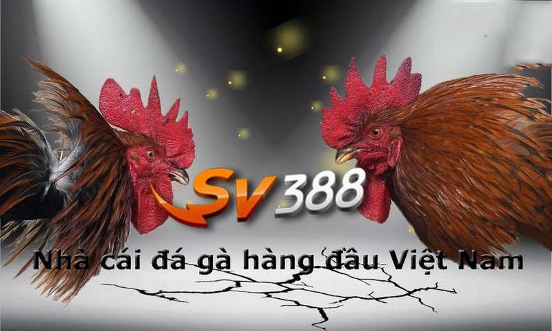Các chương trình khuyến mãi Ev8 có sẵn mỗi ngày - Ev8