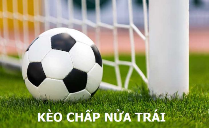 Trang web chính thức của Vi68 cung cấp các tính năng độc quyền và hấp dẫn - Vi68