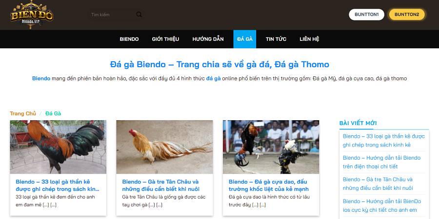 Người chơi cá cược cần chú ý điều gì khi đăng nhập vào Vnq8? - Vnq8