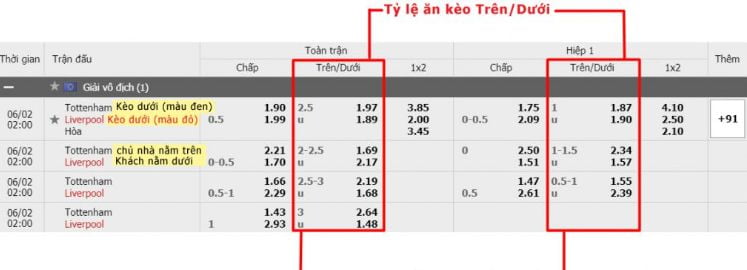Khi tham gia các hoạt động quảng bá của Loto188, vui lòng lưu ý những điều sau: - Loto188