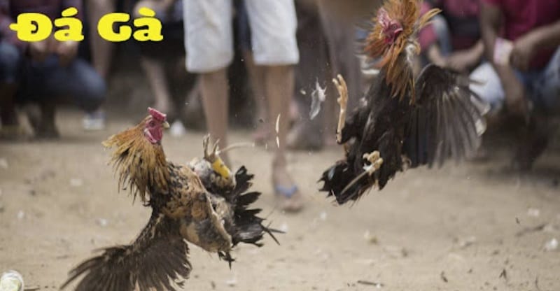 Dưới đây là danh sách một số tựa game đã góp phần làm nên sự phổ biến của các game được xếp hạng Kuvip - Kuvip