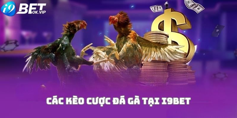 Các chiến lược sinh lời tốt nhất cho các dự án cấp Gg8 năm 2026 - Gg8